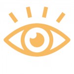 vision